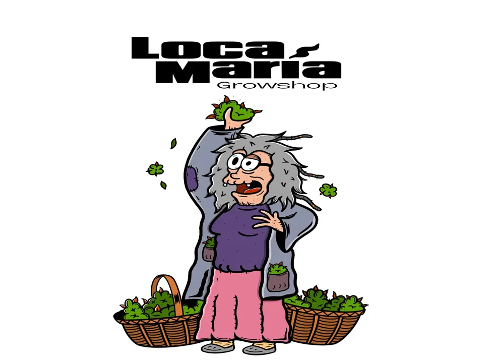 logo locamaria growshop